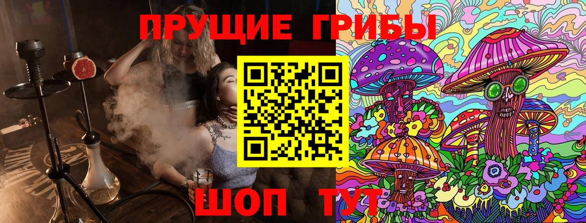 Галлюциногенные грибы Psilocybine cubensis Родники