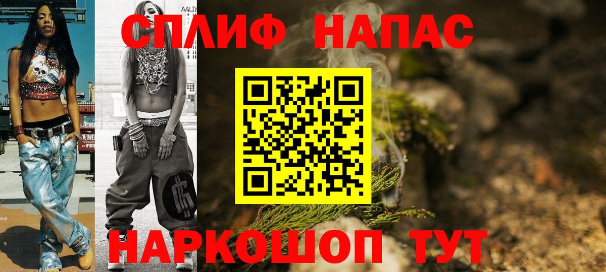 Конопля сатива Родники